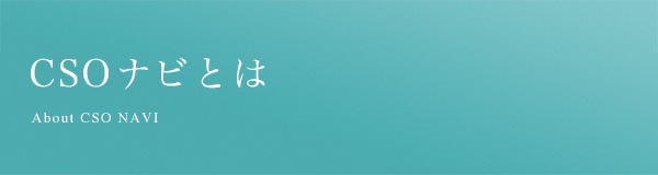 CSOナビとは
