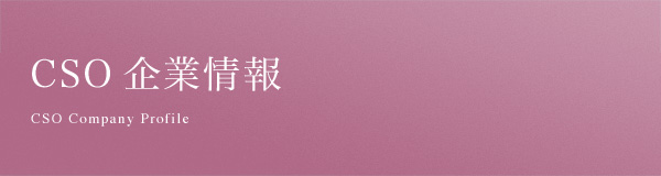 CSO企業情報